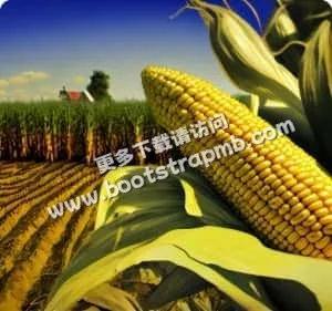 24/7全天候客户服务，随时为您排忧解难 - 问鼎娱乐
